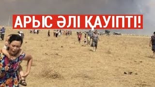 Арыстағы қауіптің беті сейілген жоқ!