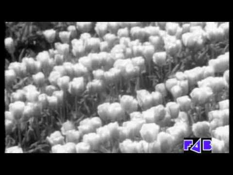 Paul Roland - Gabrielle