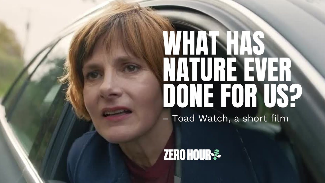 Toad Watch