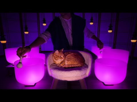 **FOR INSOMNIACS ONLY** Singing Bowl Sound Bath for Insomnia | Relaxing Sleep Music for Before Bed