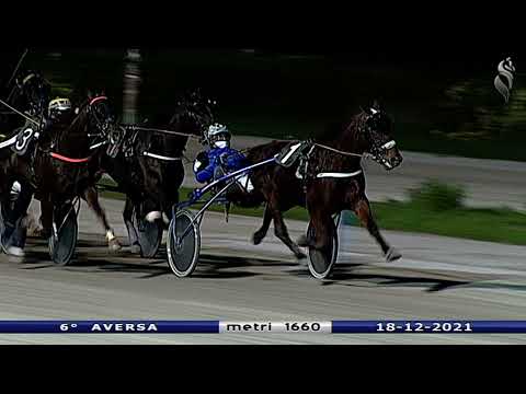Aversa trotto 18 Dicembre 2021 - 6° Corsa