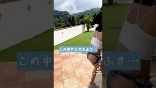 攻め攻めな感じ　 #tiktok #美女