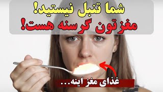 شما بی انرژی نیستید، بی اراده نیستید! مغزتان گرسنه است! (این سوخت مخفی را به آن برسانید!)