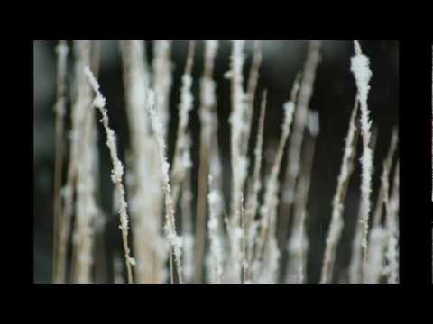 Alan Hovhaness Symphony No. 1 "Exile" Mmt 1 and 2