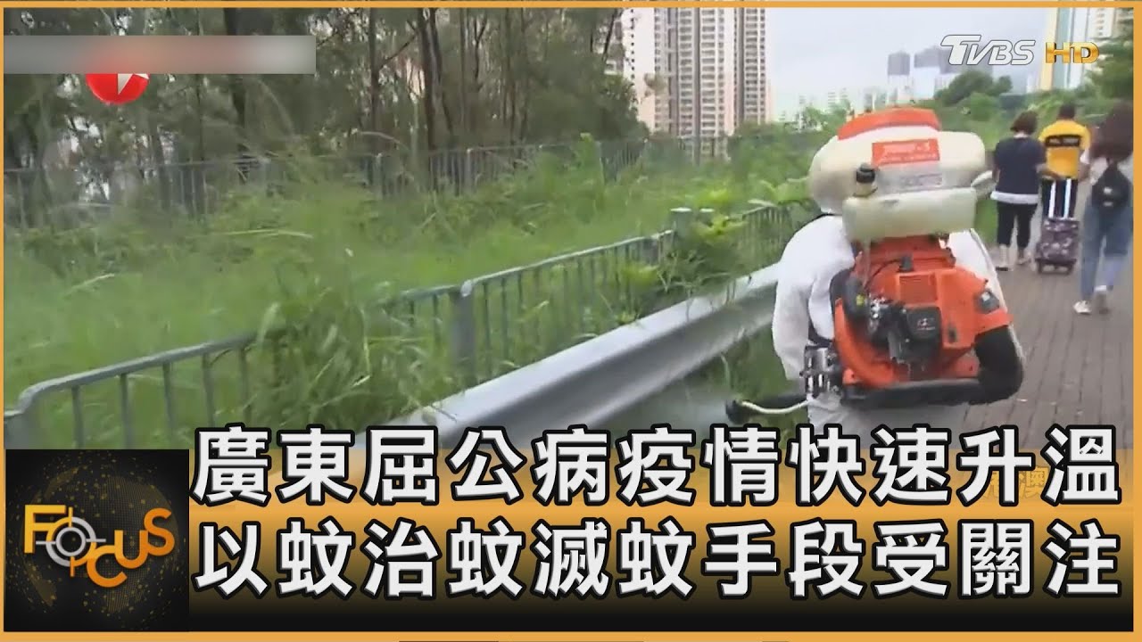 廣東「屈公病」疫情快速升溫　以蚊治蚊.滅蚊手段受關注