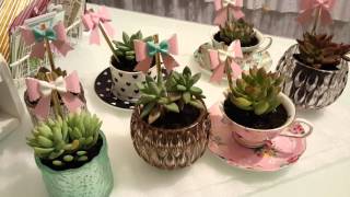 Cute succulent & Valentine gift ideas