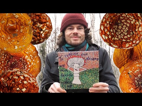 Fly Agaric - Ingredients, Effects And Preparation (German w/ English Subtitles)