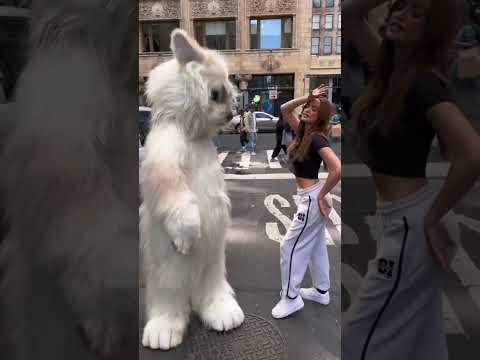 Internet trends: select all ✅✅✅✅