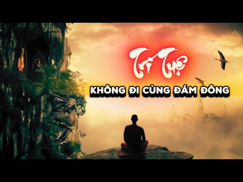Trí Tuệ Không Đi Cùng Đám Đông | Thiền Sư Sayadaw U Jotika |