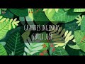 Señor Loop - Grandes Ingenuos