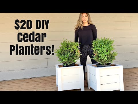 Easy Build DIY Planter Box