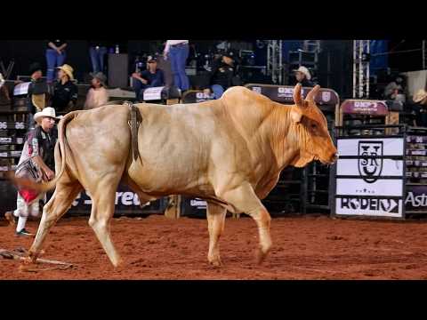RODEIO da EXPOUMUARAMA 2026 - MELHORES TOUROS | QUARTA FEIRA