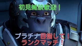 【オーバーウォッチ】プラチナ目指してランクマ！【初見歓迎】