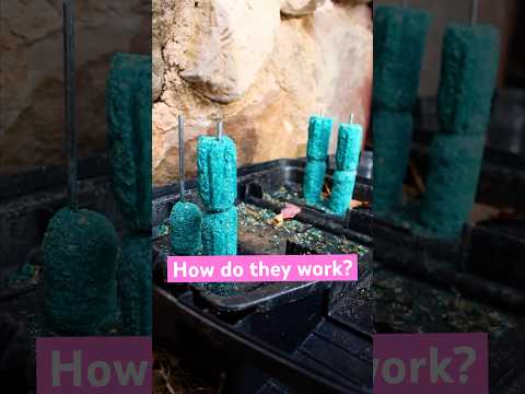 Bait Stations for Mice work SO WELL 🐁