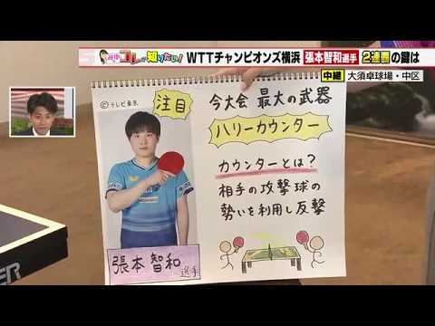 「ハリーカウンター」卓球・張本智和選手の必殺技 強くて速い球を返せる理由を深掘り (2026年8月6日)