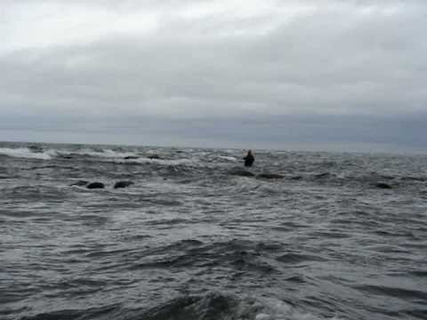 Jacek Baran walczy z falami na Gotlandii w 2008r.