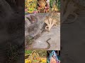 Amman Tamil Shorts Tamilsong Tamilstatus Tending Kovil Melmaruvathuradhiparasakthi