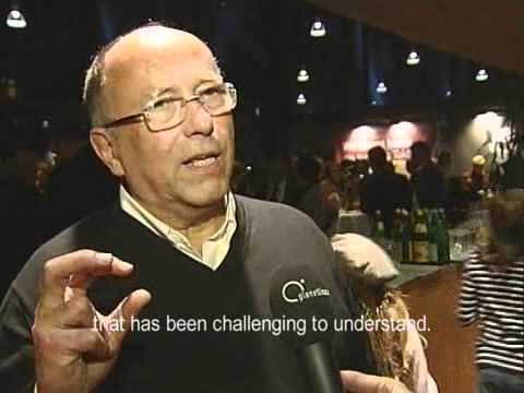 Visualisierte Linzer Klangwolke 2007 (*)