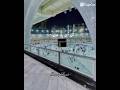 Ek Tera Ishara Naat Sharif Naat Short Video Viral Short Video Subscribe Shaheer Zahid Vlogs