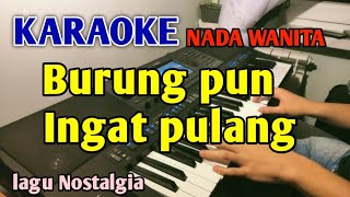 Download lagu BURUNG INGAT PULANG - Nia Daniaty KARAOKE HD  mp3 Download lagu BURUNG INGAT PULANG - Nia Daniaty KARAOKE HD  mp3