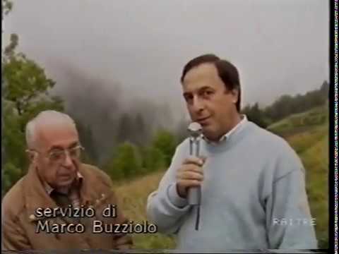 Frana a Forni Avoltri del 1990