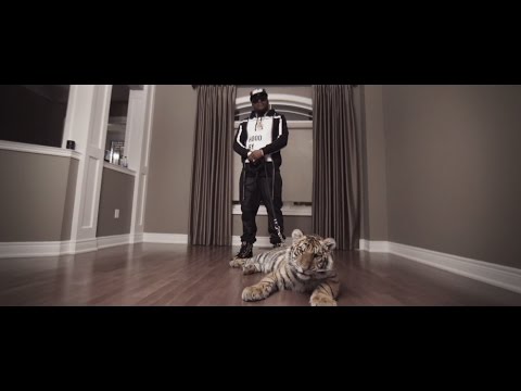 Harvey Stripes - Blanco [Official Video]