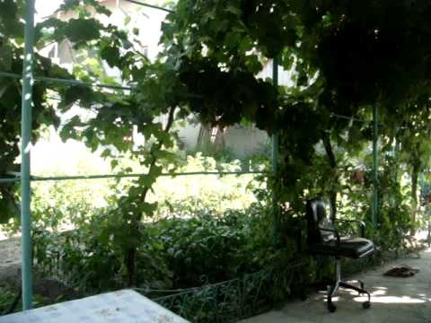 Pension Sf. Gheorghe