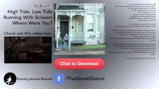 Vultures - The Great Dismal - The Clay Manor EP - Video LP