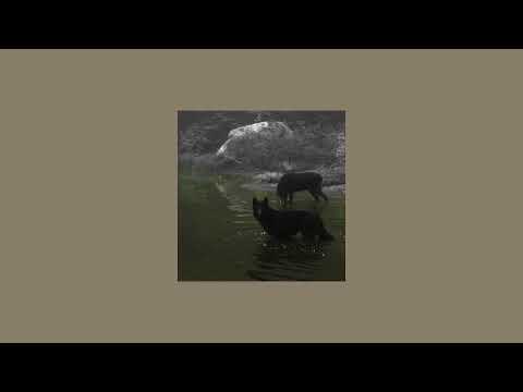 new moon angst playlist ☾*✲⋆ || jacob black inspired