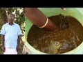 1கிராம் சாணியில் 30 லட்சம் கோடி நுண்ணூ�