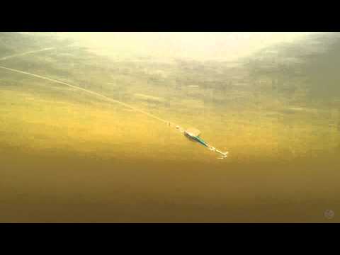  Блешня Smith Niakis 48mm 3.0g #05