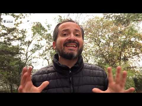La Edad Media (en el Arte) cap05