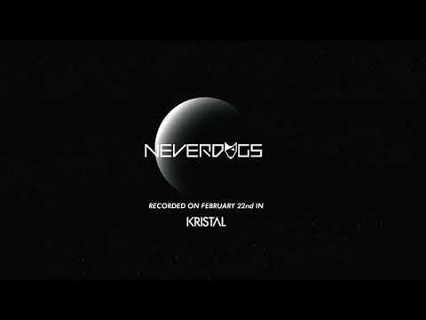 Neverdogs (ALL NIGHT LONG) at Kristal Club Bucharest (RO) 22 February 2020 - Part 2