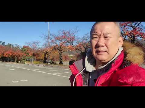 11월10일 -강백호-과천새벽조교장 스케치 이번주도 터질수밖에