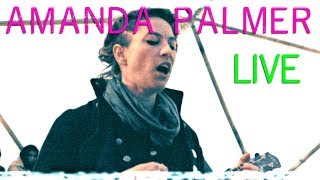 AMANDA PALMER - the thing about things