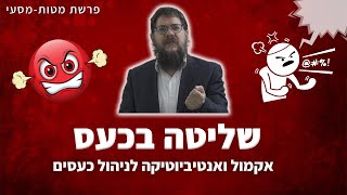 הרב שניאור אשכנזי - פרשת מטות מסעי • שליטה בכעס: אקמול ואנטיביוטיקה לניהול כעסים