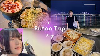 釜山旅行(부산여행)🇰🇷VLOG🌊広安里(광안리)/海雲台(해운대)/PARADISEホテル(파라다이스호텔)/焼き貝(조개구이)/カフェ(카페)