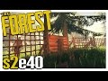 THE TRAP WALL | The Forest Gameplay S2E40 (Alpha v0.21) THE TRAP WALL | The Forest Gameplay S2E40 (Alpha v0.21)