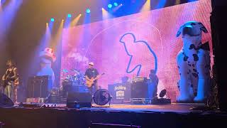 Sublime - 5446 That's My Number / Ball and Chain - Live at Trusts Arena Auckland NZ - 10/4/2026