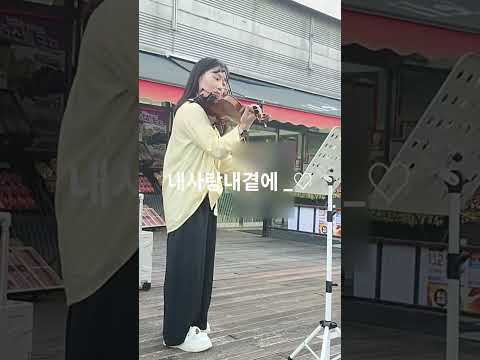 비디오 5