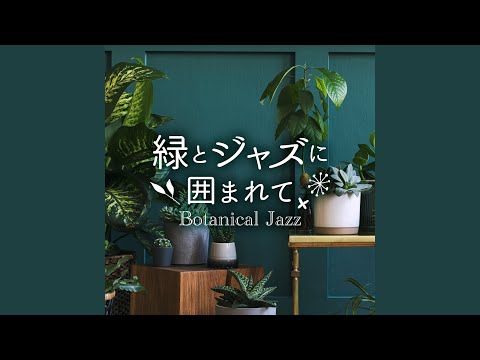 風景 バラの茂み 美しい表示色 低木を組み合わせる