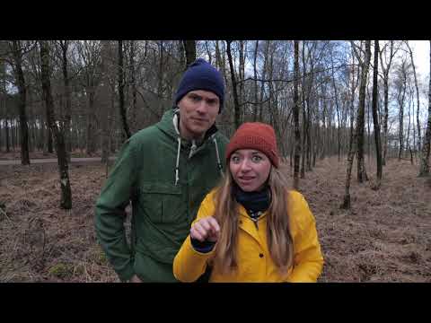 Klomp 9: de paarden van de veldmaarschalk