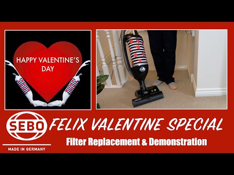 Sebo Felix Vacuum Filter Replacement & Demonstration