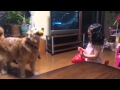 Ayu And Lassy S Bonding