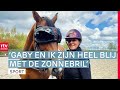 Mogen paarden straks een zonnebril dragen tijdens een concours? | RTV Drenthe