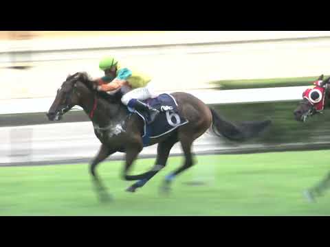 2023-05-06 Macau Meeting Race 4(0221) - THE NEW ORLEANS (Div 2)