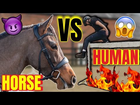 CHASE ME CHARLIE! Meg VS Demir 😱