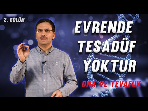 Allah’ın Sıfatlarını Tanımak
