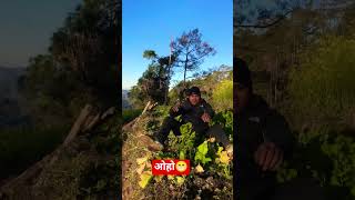 Download lagu मुला उखेल्दा येस्तो भयो #viral #funny #comedy #flysong #flysong #humor #reels #youtubeshorts mp3