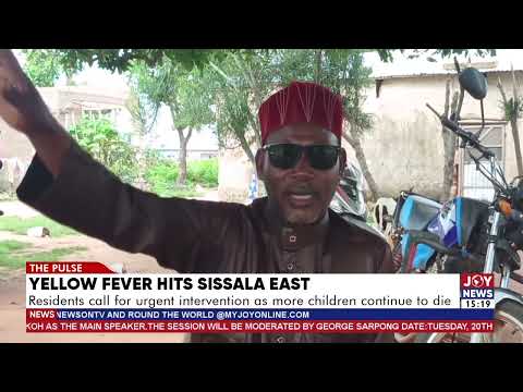 Yellow fever hits Sissala East: Residents call for urgent intervention as children continue to die